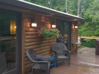 Beautiful Secluded Cabin with hot tub on 50 acres Hotels in Swan Township