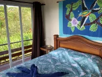 Fabulous 4Bd/4BA at Low Rates, Views, Pool, Wifi, Near Beaches, Cafes, Dominical Hotels in Savegre