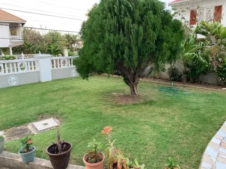 Adventure in Jamaica awaits!