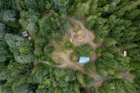 Gorgeous 2BR cabin on secluded lot minutes from Hood Canal activities