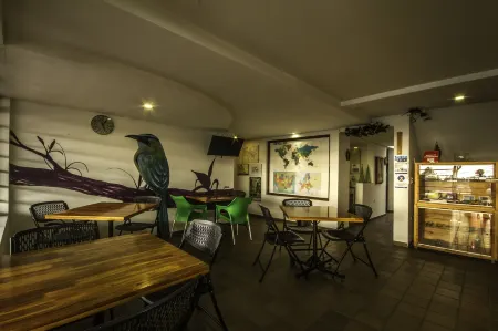 Hostal de la 57 Отели рядом с достопримечательностью «Ecoparque Los Yarumos»