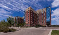 MacEwan University Residence - キッチン