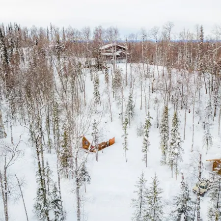 Spruce Cabin