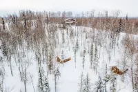 Spruce Cabin Hotels in Talkeetna