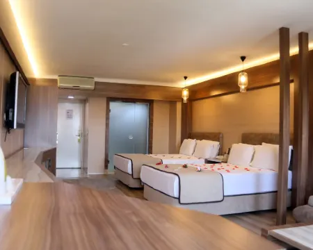 Basmacioglu Hotel - Special Class Isparta otelleri