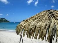 CoCoKreyol - " Grenadine " - Pet friendly