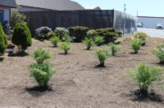 Westward Inn Hotels in Crescent City