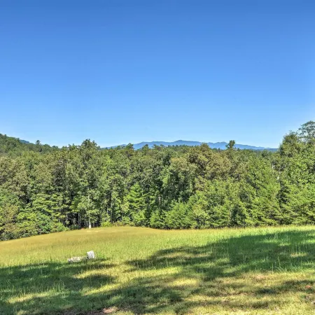 Blue Ridge Cottage Modern Solace in the Mountains