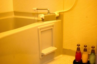 その他 胡蝶蘭の写真