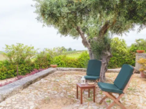 Quinta da Barroca Douro Valley Hotels in Armamar