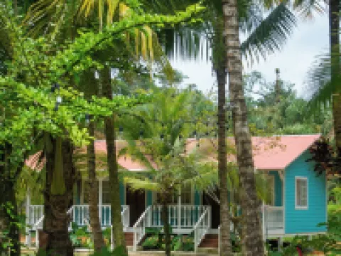 ยาริสโนริ โรงแรมในโบกาสเดลโตโร