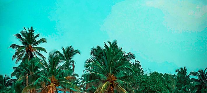 Nalanda Retreat Goa by Mandrem Beach Hotels in Mandrem