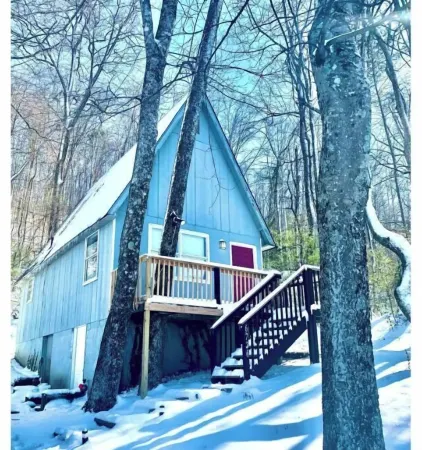 Quiet Mountain-side Cottage 20 min from downtown