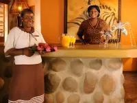 Motswari Private Game Reserve by Newmark - بار