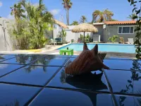 Casalina Garden 2 Blocks to Palm Beach & Kitesurfing School - de playa