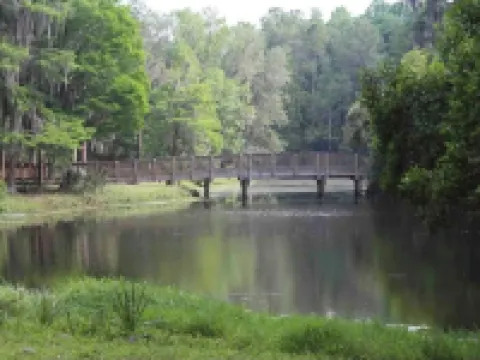 Coastal themed home near beach and airport Hotels in Oldsmar