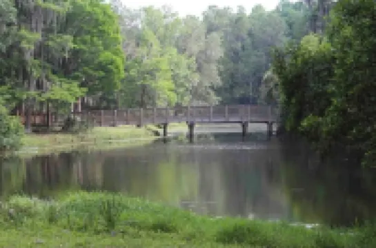 Coastal themed home near beach and airport Hotels in Oldsmar