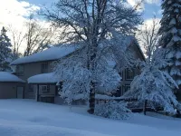 Private Chalet with views and a Sauna Mossbrae Falls附近的飯店