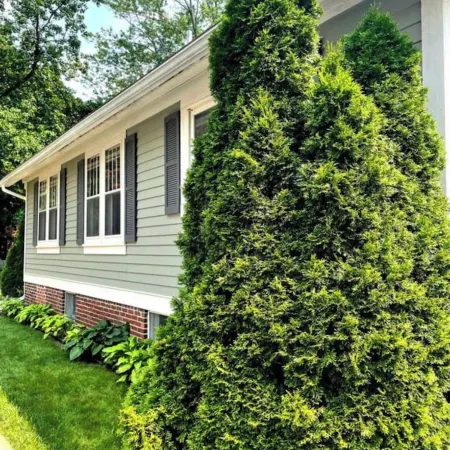 Stylish Family/Pet Friendly Cottage in Coveted Clark Park with Fenced In Yard