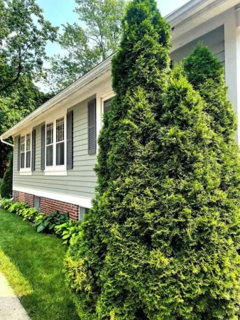 Stylish Family/Pet Friendly Cottage in Coveted Clark Park with Fenced In Yard Отели в г. Шампейн