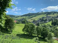 Ferienwohnung 002 - Gartengeschoss mit Terrasse Hotels in Todtnauberg