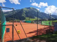 Chalet zur Rose 2-room apartment "Zyklame" 2-7 persons (80m2) Hotel a Berwang