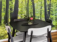 Secluded Luxury 2BR Rainforest Retreat Free Wi-Fi Hotels in Springbrook