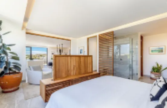 2-bedroom Penthouse in the Art District of San José del Cabo.