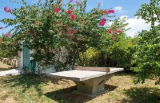 Buccaneer Hill 6 Bedroom Home Hotels in 