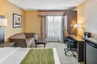 Comfort Inn Hotels in Chatham