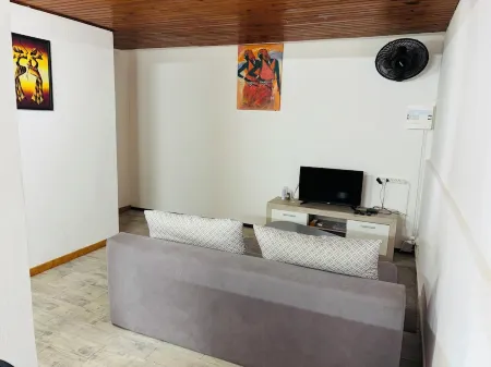 Comfortable air-conditioned mahogany T2 Lamentin near Galleria shopping center