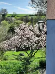 Birstein in the Vogelsberg Beautiful 70 square meter apartment good for 2 adults + children