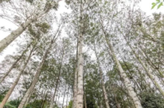 Azima Wellness Retreat Centre One Private Bedroom.