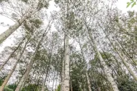 Azima Wellness Retreat Centre One Private Bedroom.