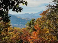 Rustic Mt. Farmer Cabin Retreat – Nature, Quiet, and Mountain View’s. - vue sur la montagne
