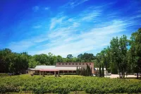 Blue Jay Cottage - Pittsburg Studio on Winery!