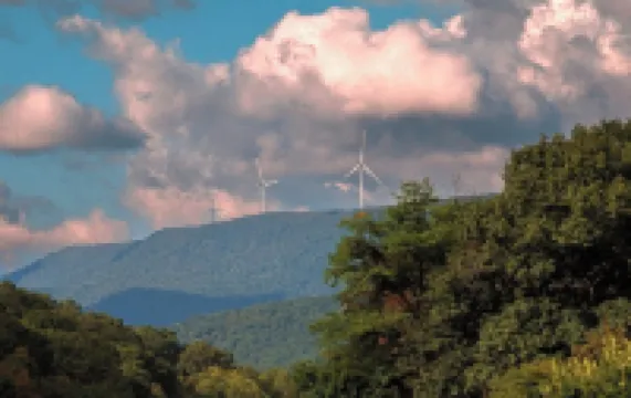 Relaxing Rustic Oasis - 6 Min Walk to Downtown! Cyclist Welcomed & Pet Friendly!