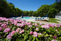 Sea Mist Resort - Pool