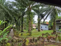 Khao Sok Palm Garden Resort เขาสก ปาล์ม การ์เด้น รีสอร์ท