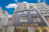 Hotel Kaca Inn - Near New Delhi Railway Station & Connaught Place โรงแรมใกล้ถนนคองนอธท์
