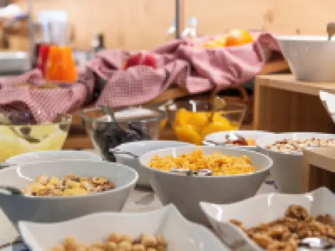 Chalet Aster Hotels in Moena