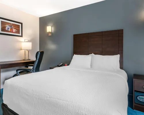 Econo Lodge Hotels in Montreal