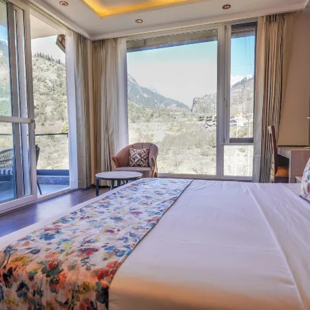 Carom Hotel Manali