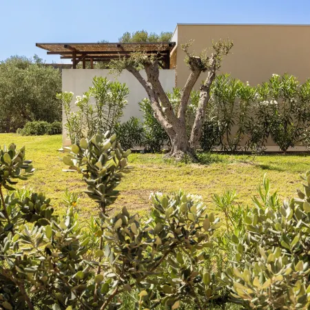 Agua Green Resort
