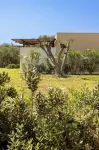 Agua Green Resort