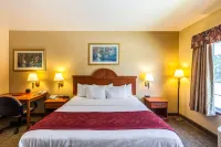 SureStay Plus Hotel by Best Western Mesquite Hotels in Forney