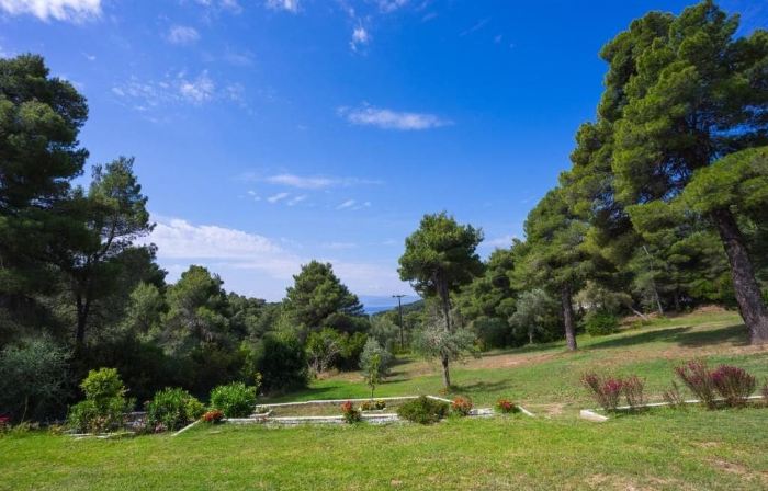 Forest Resort Suites Skiathos
