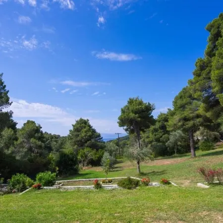 Forest Resort Suites Skiathos