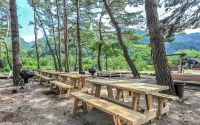 Inje Seonyeorang Baekdamirang Pension - 民宿