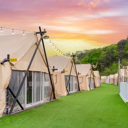 Qingdao is Exciting Dog Glamping